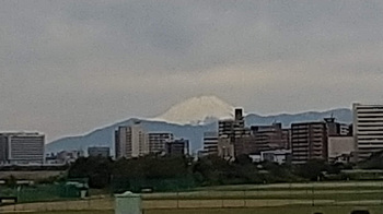 白い富士山.JPG